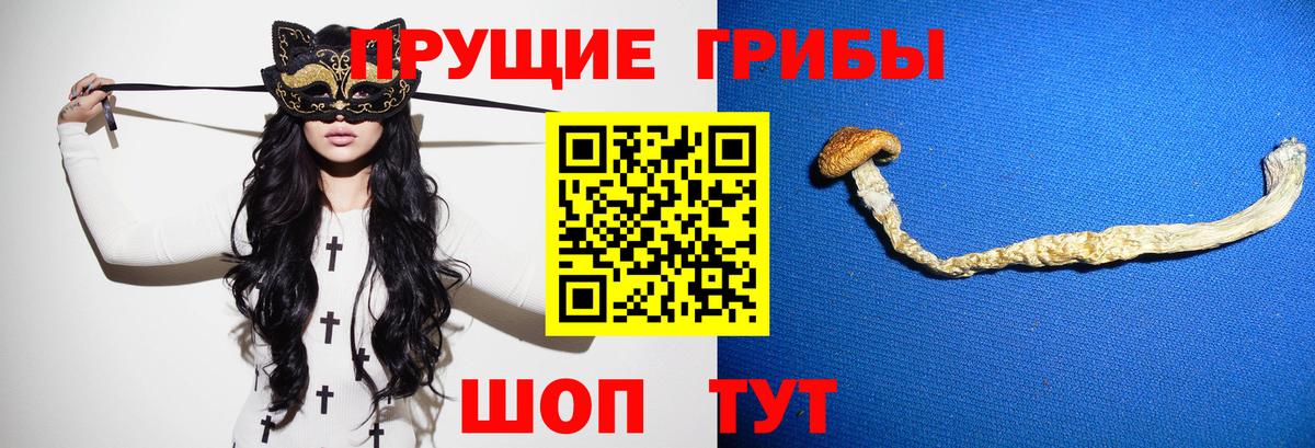 Псилоцибиновые грибы мухоморы  Вход с VPN  Невинномысск  Галлюциногенные грибы мицелий 